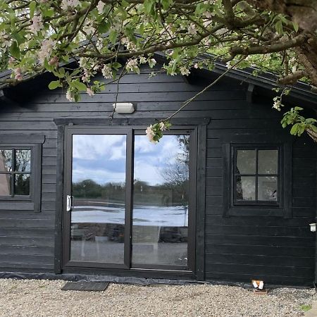 The Cosy Cabin By The Shore Galway Exteriér fotografie