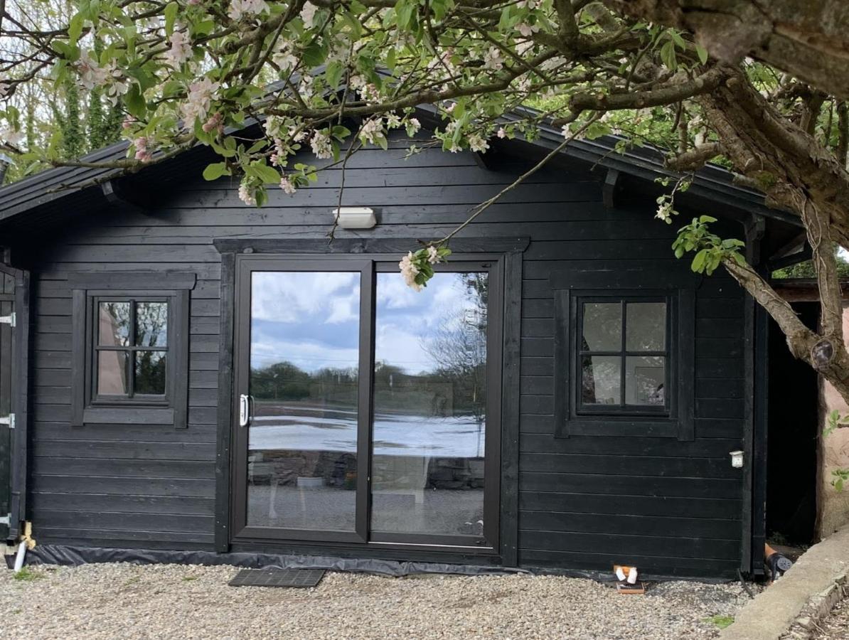 The Cosy Cabin By The Shore Galway Exteriér fotografie